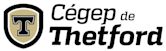 Cégep de Thetford