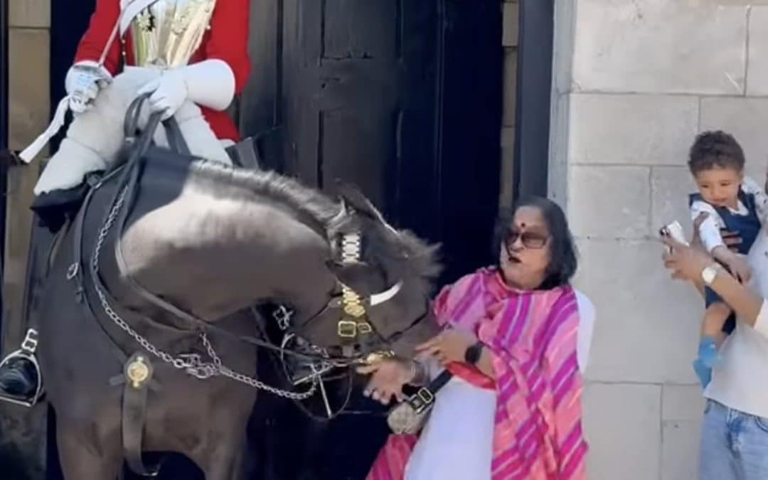 Watch: King’s Guard horse bites tourist