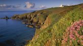 Rare flowers and butterflies to benefit from £350,000 project at Cornish reserve