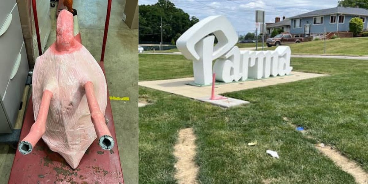 LOOK: Flamingo stolen from Parma sign found vandalized