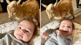 Woman gets surprise goat for her birthday 2 months after baby—"total chaos"