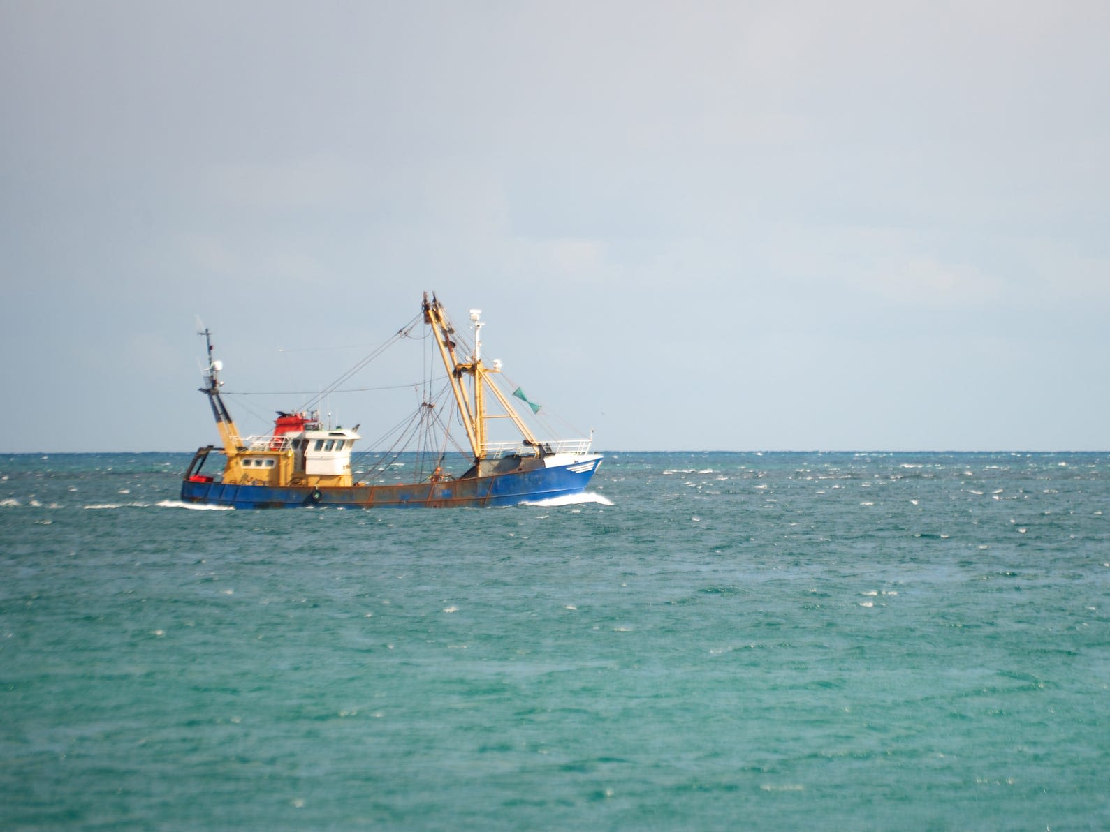 A media giant is suing scallop farmers for $870K, accusing them of damaging its underwater cable