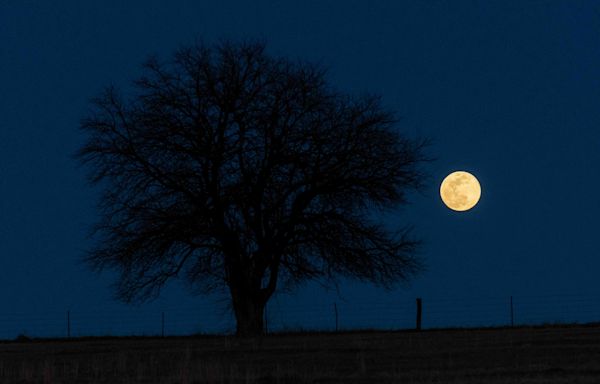 What kind of moon is it tonight? What to know about July’s lunar cycle