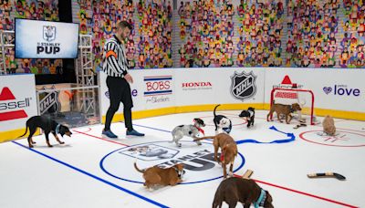 Miranda Lambert, Mickey Guyton & Kristin Chenoweth to Appear on NHL ‘Stanley Pup’ Rescue Dog Competition