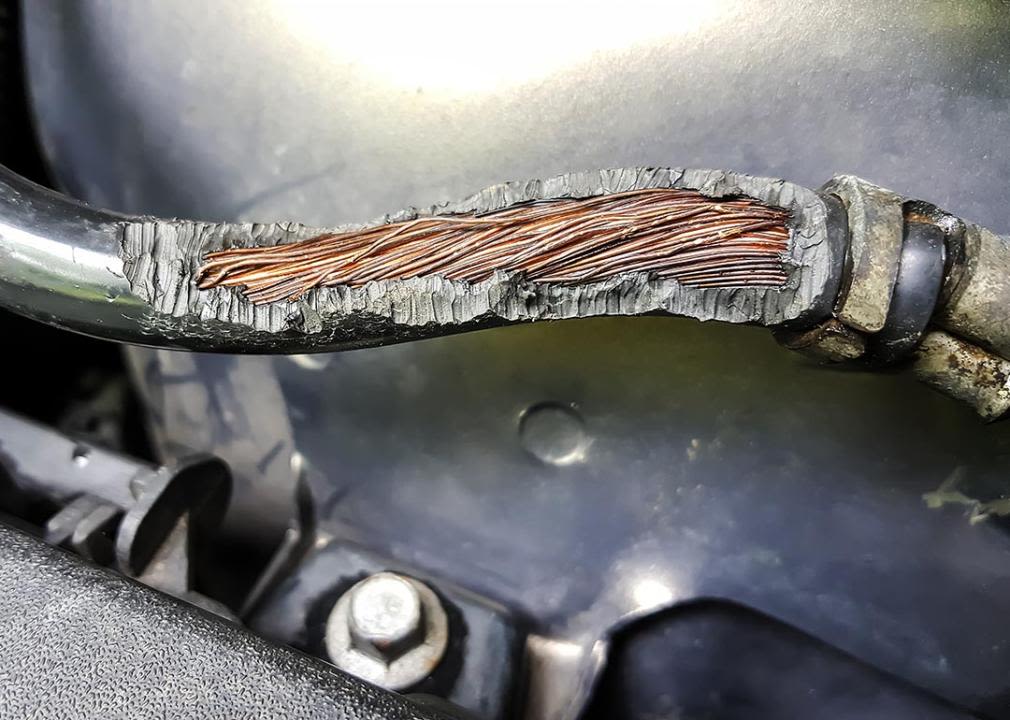 Rodent damage: Will your car insurance cover chewed-up wiring?