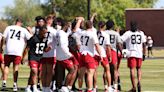 Cardinals' Roster Ranked Bottom Five in NFL