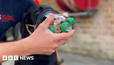 Oxygen masks for pets used by Essex fire service