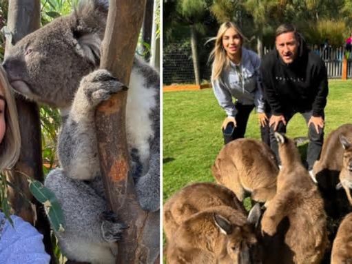Noemi Bocchi e Francesco Totti in Australia tra koala e canguri. E la "foto di gruppo" è un vero spasso