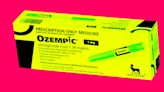 Active Ingredient in Ozempic Linked to Condition That Causes Blindness