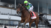 Resilience trainer, jockey, owner, record and more to know about 2024 Kentucky Derby horse