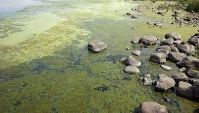 Welcome for Executive approval of ‘ambitious’ Lough Neagh Action Plan