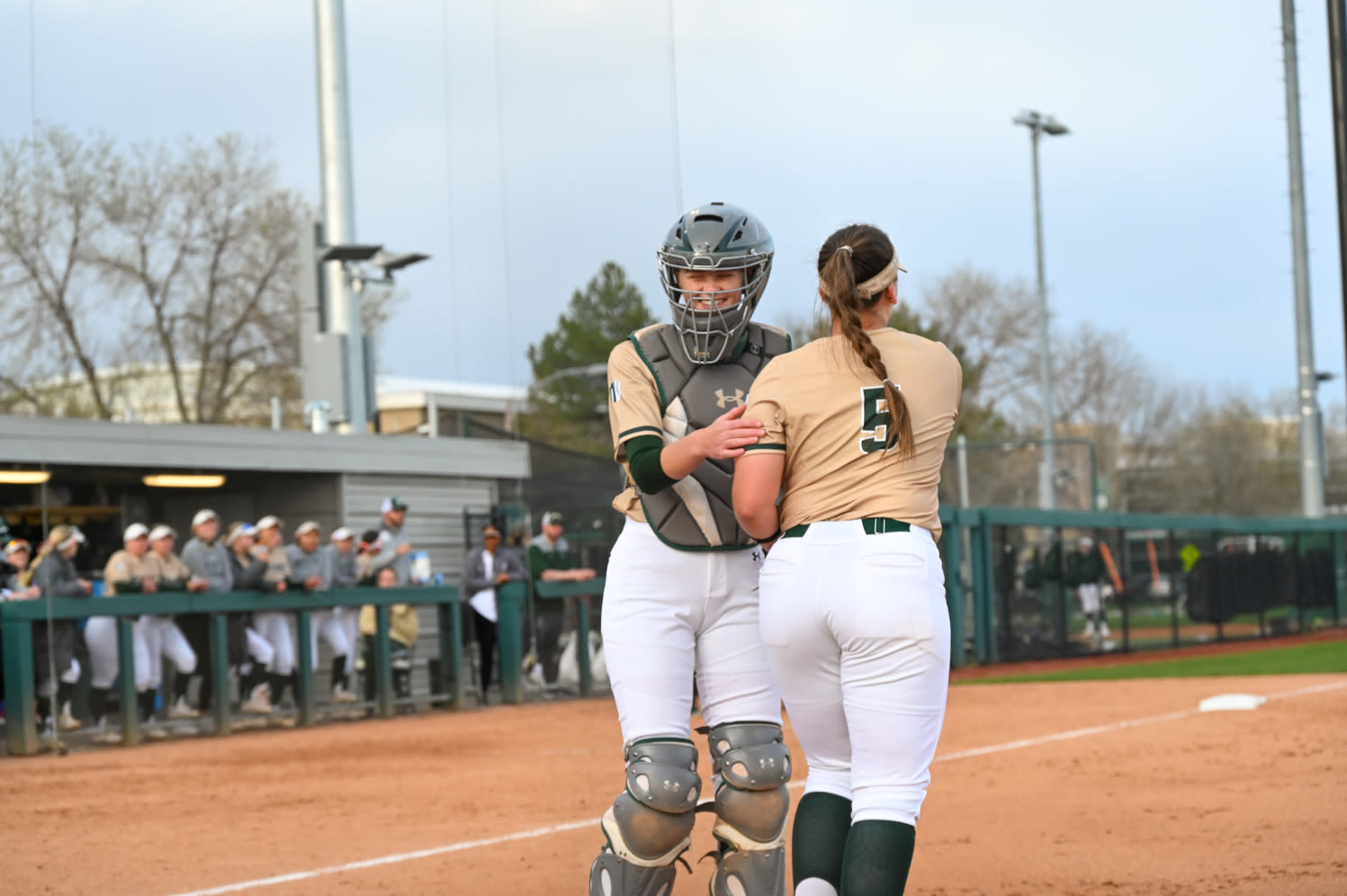 CSU softball struggles to score in loss to Boise State