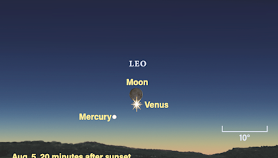 The Sky This Week from August 2 to 9: The Moon meets Venus