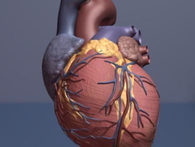 Biomimetic transcatheter aortic heart valve offers new option for aortic stenosis patients