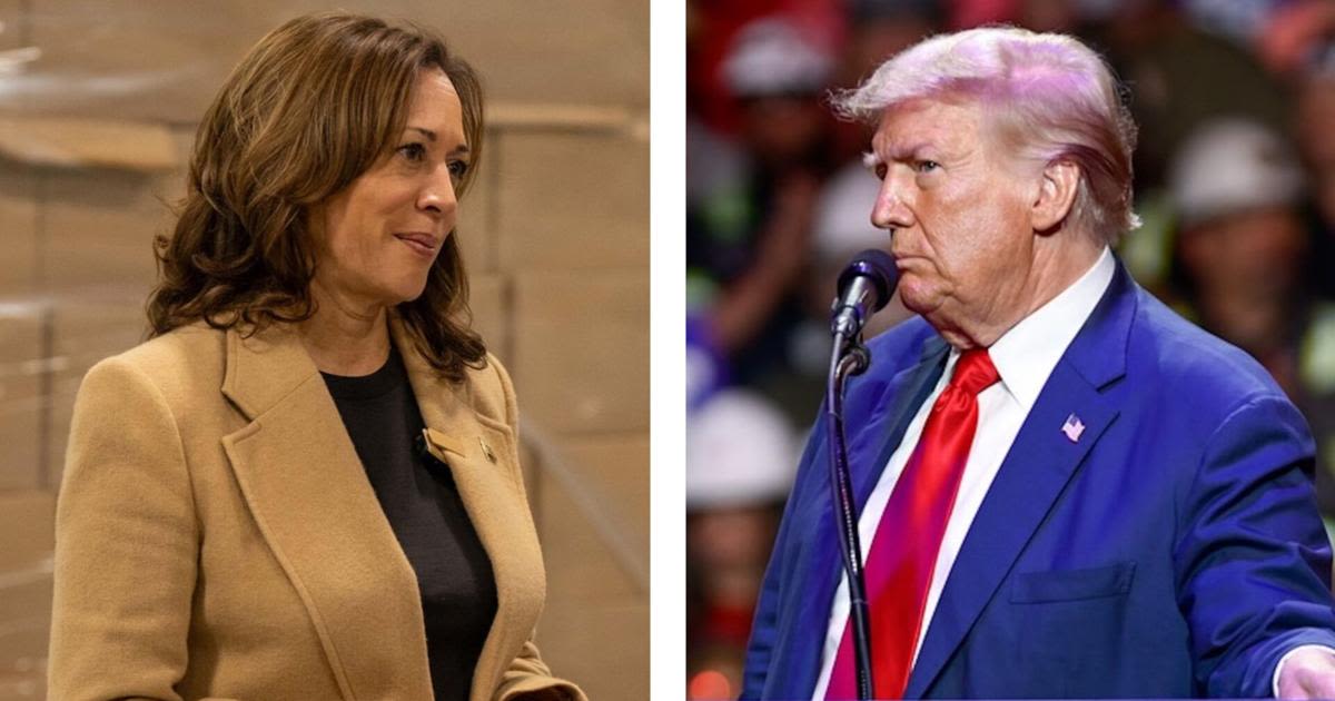 Harris, Trump dead even in Meredith Poll