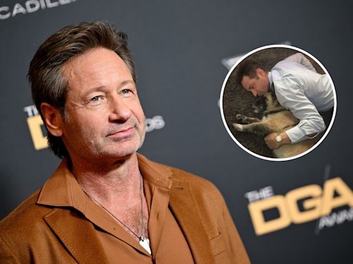 David Duchovny supported by Gillian Anderson as emotional update goes viral