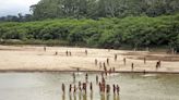 Group says photos of reclusive tribe on Peru beach show logging concessions are 'dangerously close'