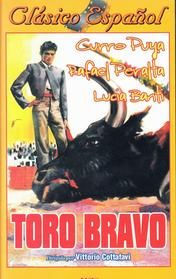 Toro bravo