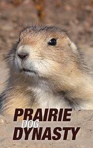 Prairie Dog Dynasty