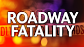 Pedestrian dies after hit by truck near downtown Kingsburg. Police identify victim