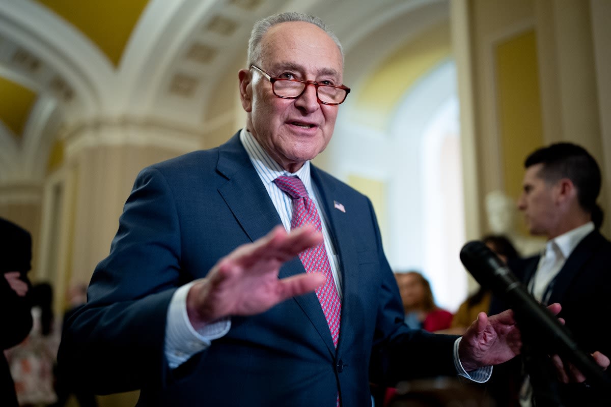 Chuck Schumer Appears to Cave on Netanyahu