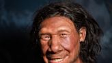 Neanderthal diet study shows they were more than just ‘primitive cave dwellers’