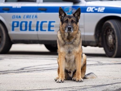 Award-winning Oak Creek Police K9 Nox who logged 'extremely successful career' has died