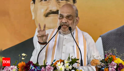 Vote for ‘dynastic’ NC-Congress, PDP to serve Pakistan’s intentions in J&K: Amit Shah | India News - Times of India