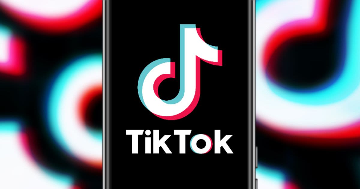 TikTok taps former Warner Bros counsel as US ban looms