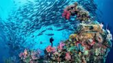 Mind-blowing underwater attractions you need to see