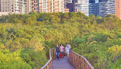 推動「藍碳」紅樹林惹議 國家公園署：將適地適種 - 政治