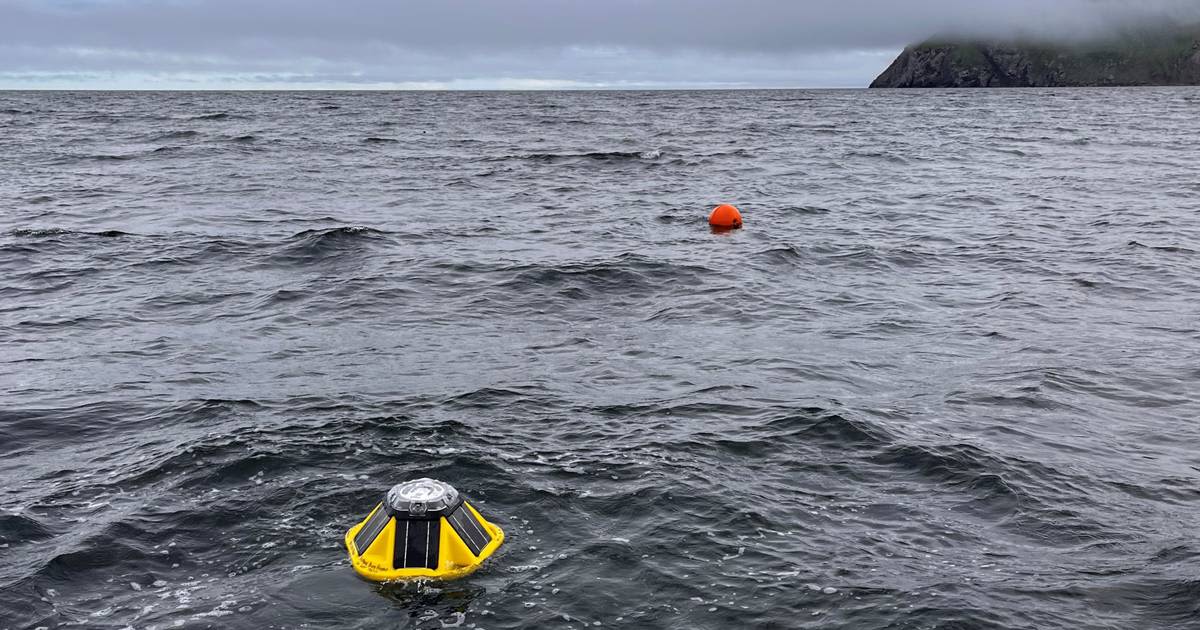 Subsistence hunters measure wave height and use an app to predict conditions at sea