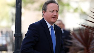 David Cameron urges the West to "toughen up" after Ukraine invasion