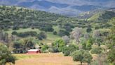 Conservarán para siempre en CA un rancho del tamaño de San Francisco