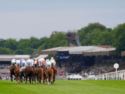 July Festival day two Newmarket diary: 'There is a nice pot in him'
