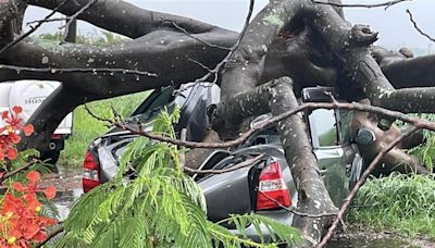 快訊／台南雨彈狂襲！台一線新市路段大樹倒塌 轎車慘遭「擊落壓扁」
