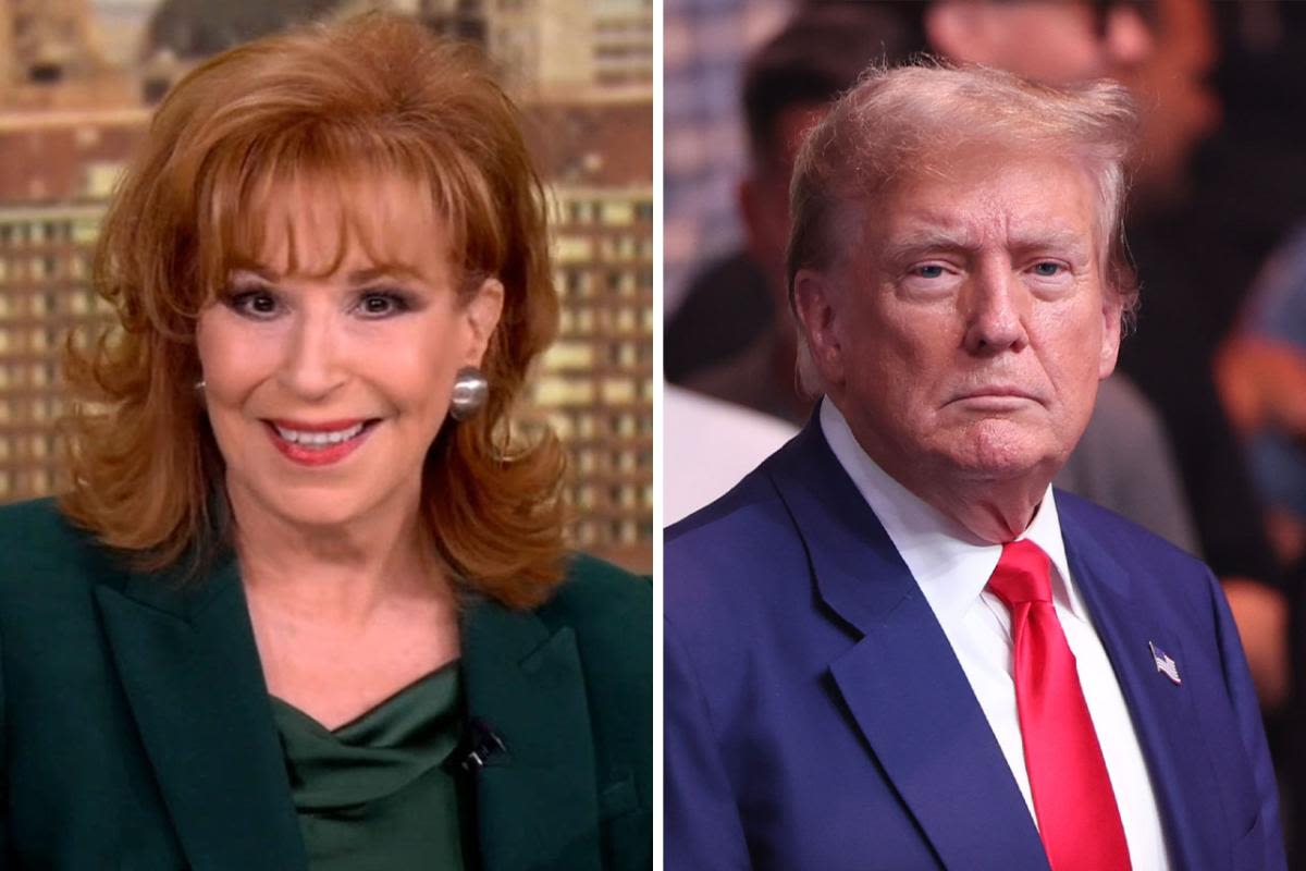 'The View's Joy Behar dubs Donald Trump a "Marxist" for promising government-funded IVF: "That's called Socialism"