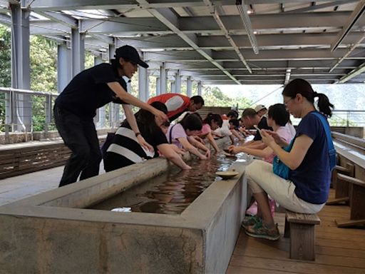 免票入館！黃金博物館 518國際博物館日系列活動 | 蕃新聞