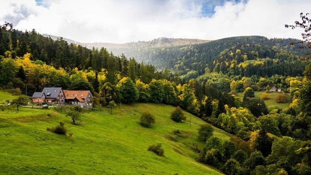 France's centuries-old mountain farm stays