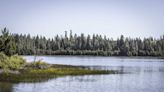 Black-led Sacramento conservation group closes deal for 650 acres of Sierra Nevada open space