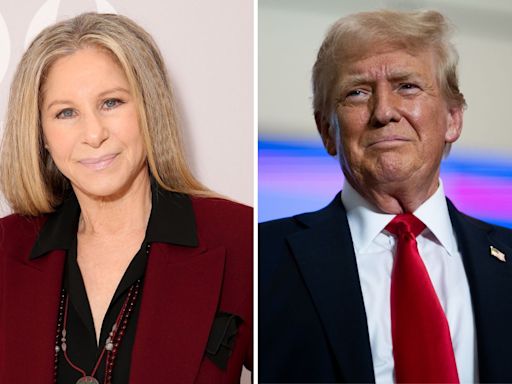Barbra Streisand hits out at Donald Trump's "alarming" vow