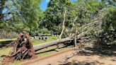 Cleanup crews remove more than 1 million pounds of debris following storms