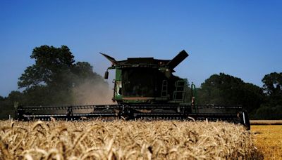 Cooling prices chill drive to add wheat acres in US Corn Belt