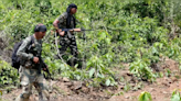 12 Naxals Killed In Encounter With Police In Maharashtra's Gadchiroli District