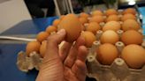 Colombia ya tiene su propio Sello de Huevo: para qué es y qué significa al comprarlo