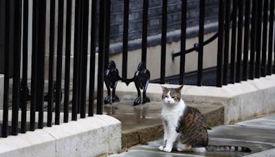 Todo cambia en Downing Street, excepto "el gato Larry"