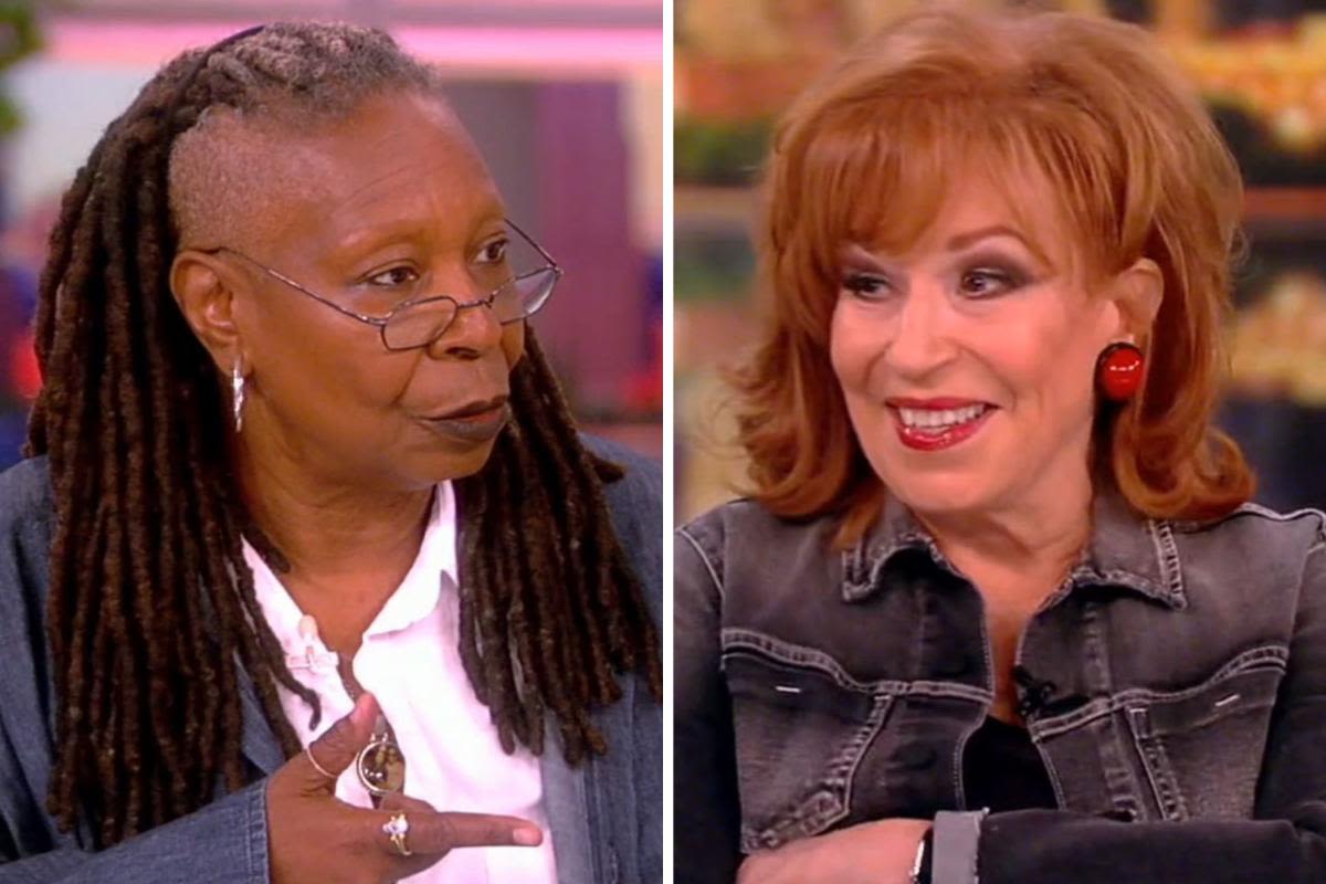 'The View's Whoopi Goldberg snaps at Joy Behar while defending Harrison Butker's controversial commencement speech: "Stop that!"