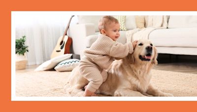 New mom’s Reddit post about resenting her pets is met with empathy from fellow moms