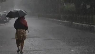 Monsoon arrives in Kerala: Economists give a thumbs up, say this will help boost rural demand