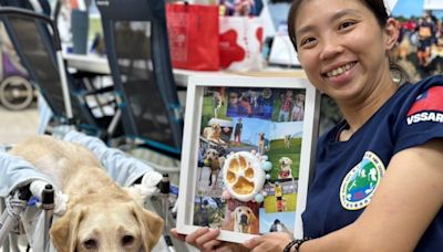 新北「木蘭」搜救犬病逝 領犬員淚崩 | 蕃新聞